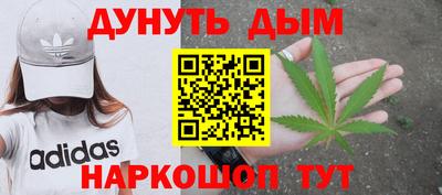 стаф Краснодар